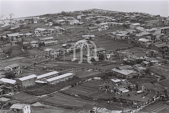 黑沙環馬場木屋區